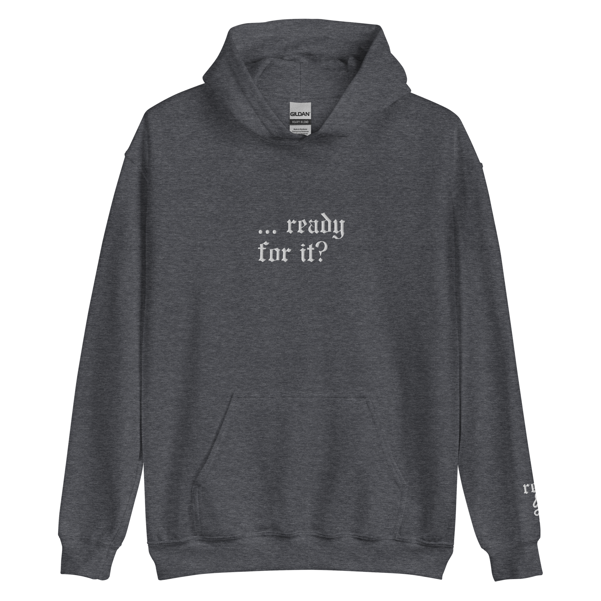 … ready for it? - Embroidered Hoodie